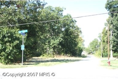 More Photos Of 43055 Walnutgrove Ln, Chantilly Land For Sale