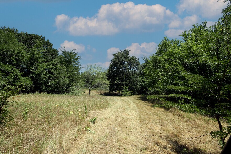 More Photos Of 13305 Joe Allen Rd, Pilot Point Land For Sale