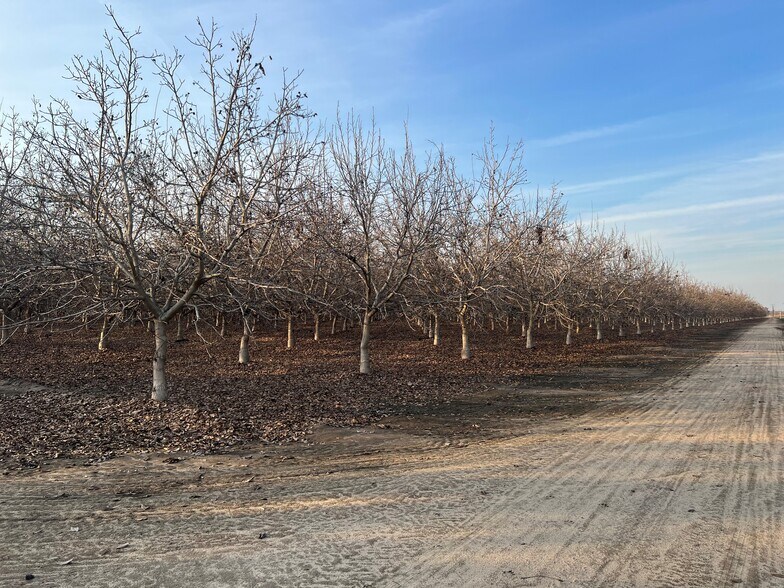 More Photos Of Avenue 248 @ Bliss Lane, Tulare Land For Sale