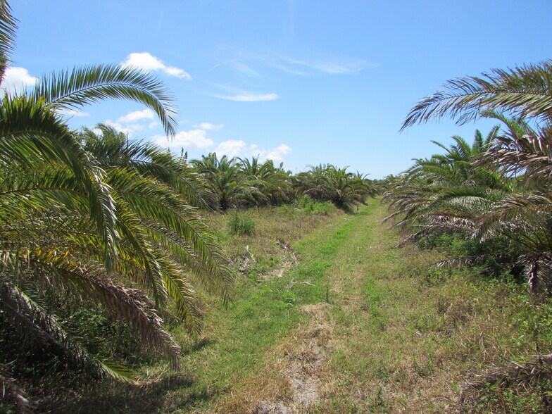More Photos Of H. Stringfellow, Bokeelia Land For Sale