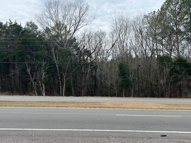 More Photos Of 2915 Highway 31 SW, Hartselle Land For Sale