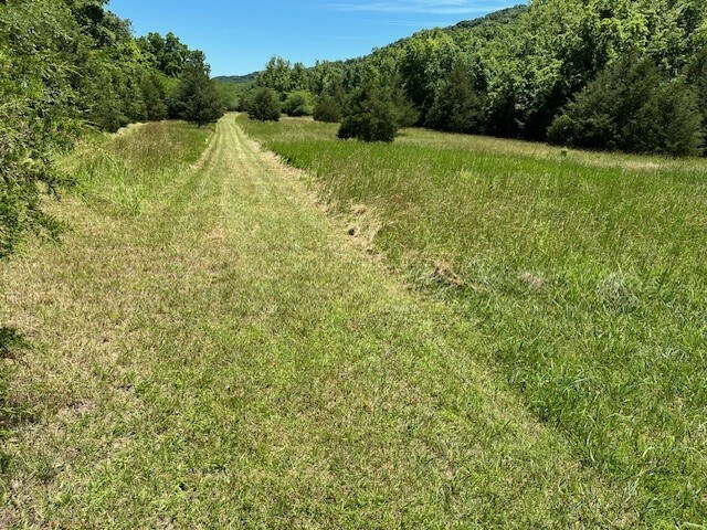 More Photos Of Carnation Ln @ Hwy 76, Cape Fair Land For Sale