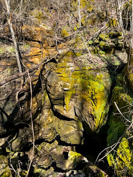 More Photos Of 4103 River Road, Guion Land For Sale