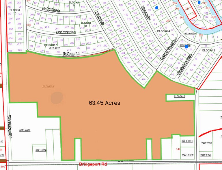 More Photos Of 130 Bridgeport rd, Palatka Land For Sale