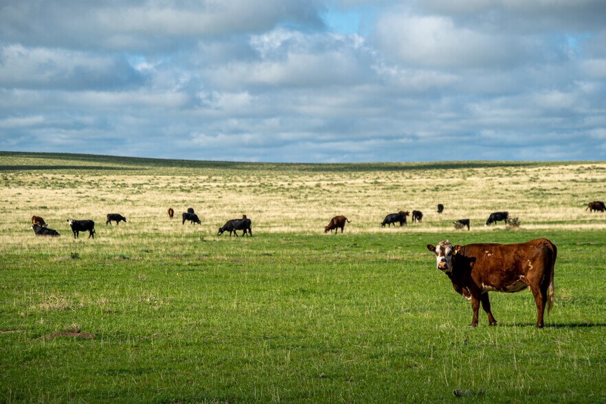 More Photos Of Squirrel Creek Road, Colorado Springs Land For Sale