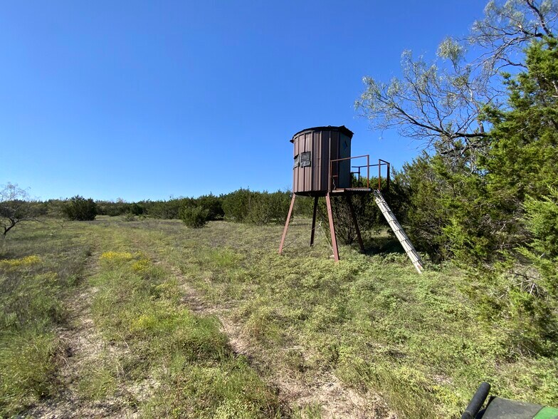 More Photos Of TBD County Road 396, Carlton Land For Sale