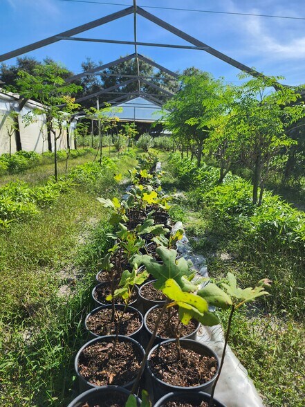 More Photos Of 3510 Walk in Water Rd, Lake Wales Winery Vineyard For Sale