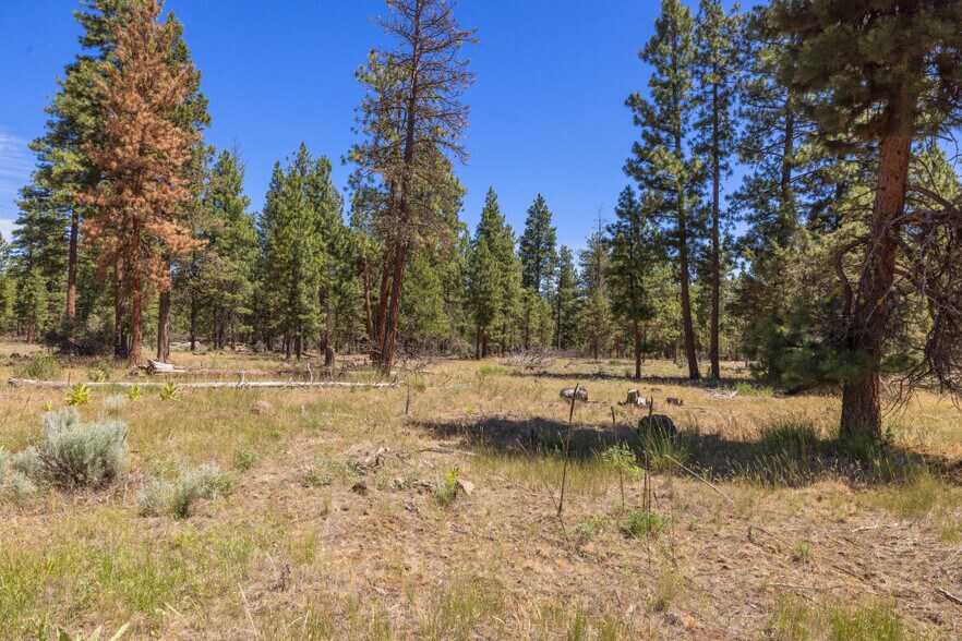 More Photos Of 0 Blue Wing Street, Keno Land For Sale