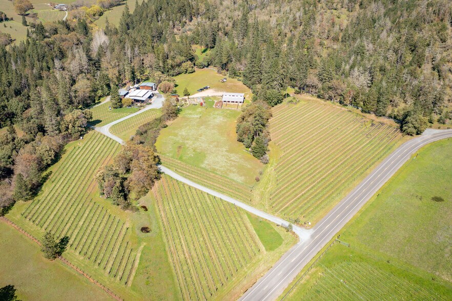 More Photos Of 818 Slagle Creek Rd, Grants Pass Winery Vineyard For Sale