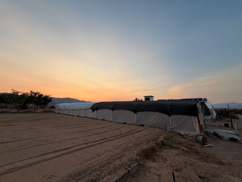 More Photos Of 691 Desert Trail Way, Tecopa Winery Vineyard For Sale
