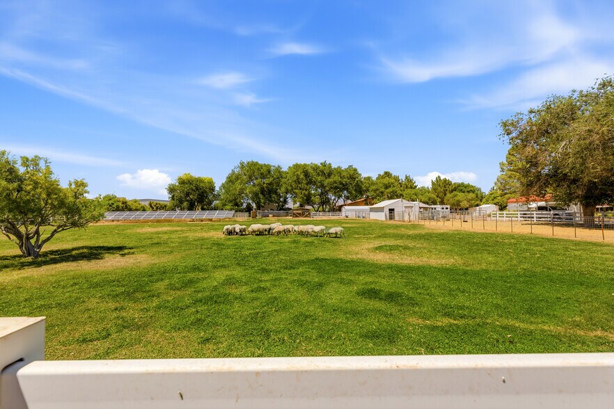More Photos Of Cactus Rd & Brookmore Rd, Baker Land For Sale