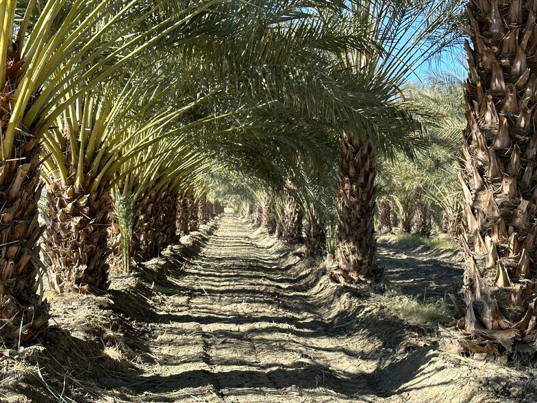 More Photos Of 60504 Jackson St, Thermal Land For Sale