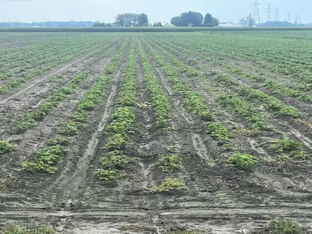 More Photos Of 9555 Gast Rd, Bridgman Shelter For Sale