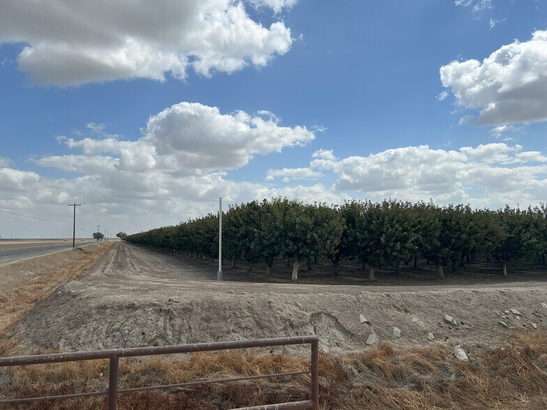More Photos Of +/-154 Acre Pistachio Orchard - Idaho ave, Hanford Land For Sale