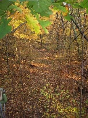 More Photos Of County Road 27 / cross St. Greeley Road, Taghkanic Land For Sale