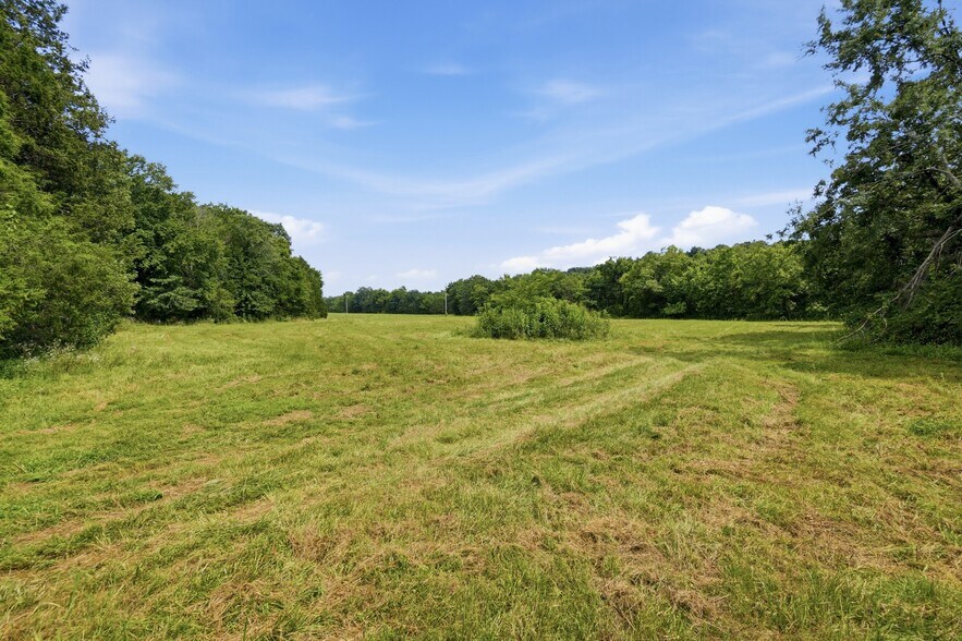 More Photos Of 11373 Colcleasure Rd, Fayetteville Land For Sale