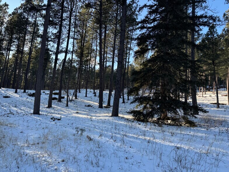 More Photos Of 21301 Vanocker Canyon Road, Sturgis Land For Sale