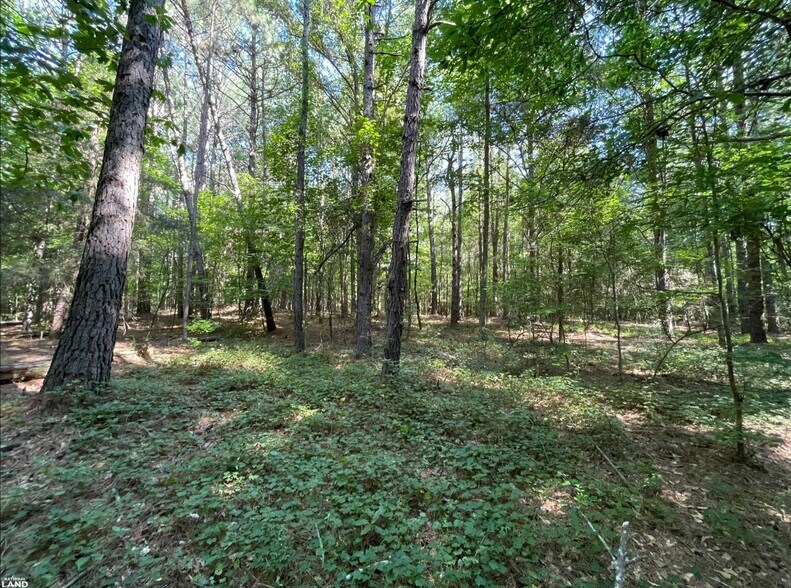 More Photos Of 0 Highway 83 North, Jefferson Land For Sale