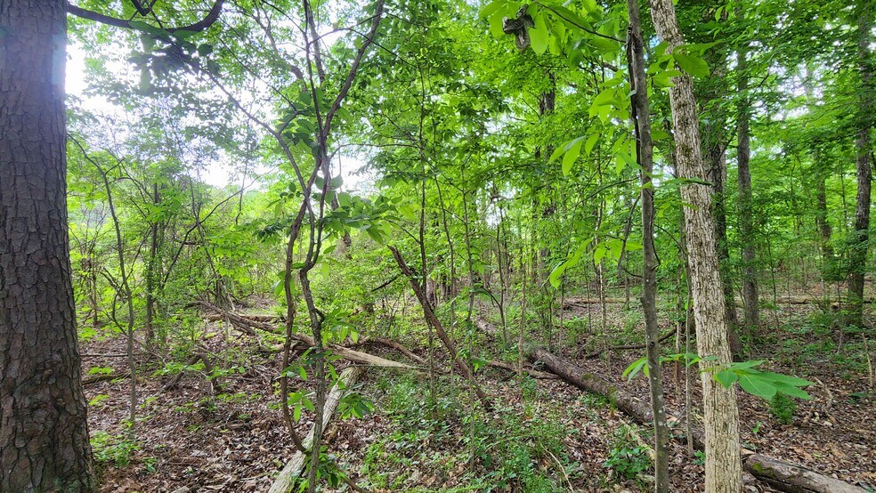 More Photos Of Near 5370 Deerfoot Parkway Pky, Trussville Land For Sale