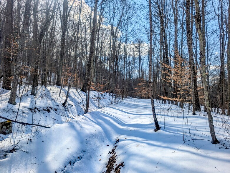 More Photos Of ,  Land For Sale
