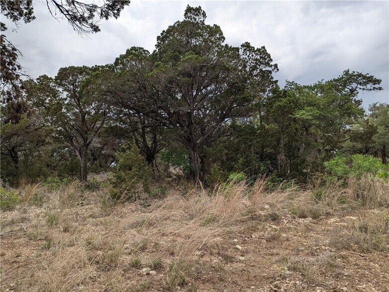 More Photos Of 19712 Tyler Trl, Jonestown Land For Sale