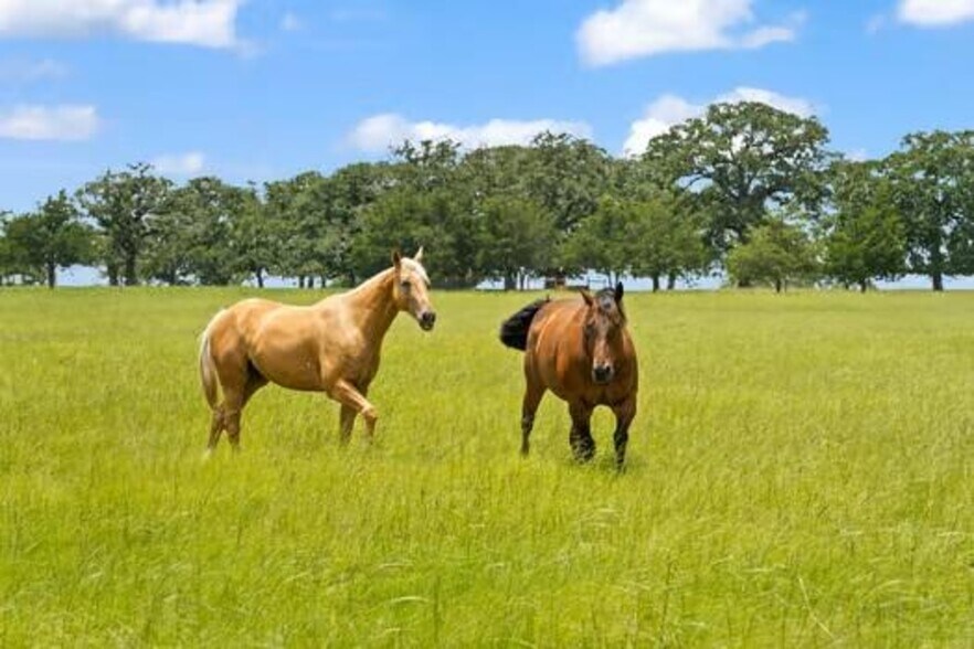 More Photos Of 705 Antioch Rd, Paige Land For Sale