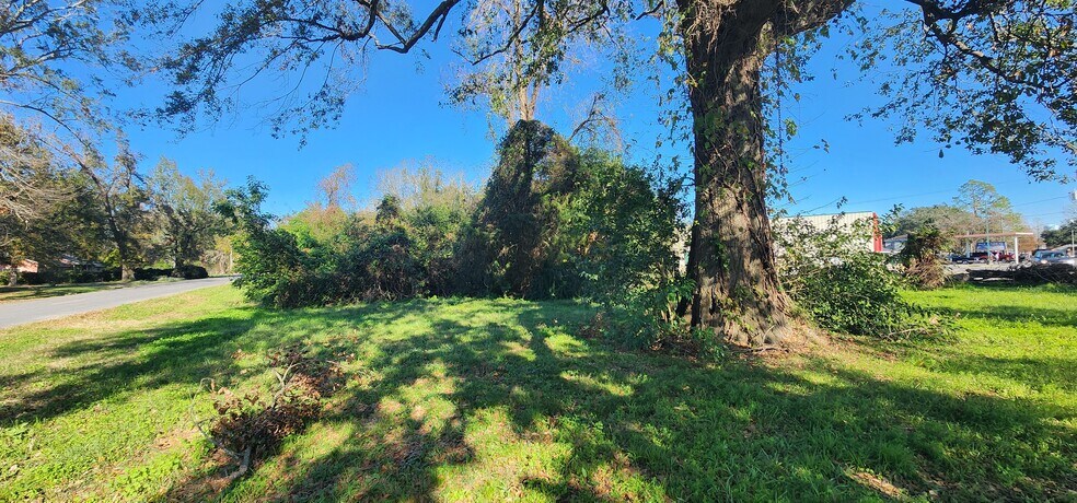 More Photos Of 106 Rondinaud Rd, Donaldsonville Land For Sale