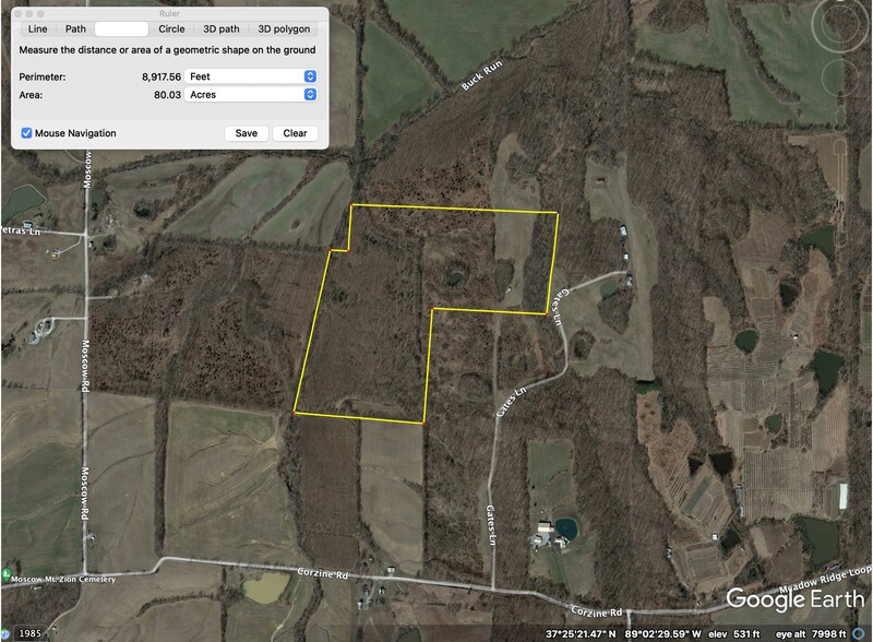 Primary Photo Of 760 Gates Ln, Dongola Land For Sale