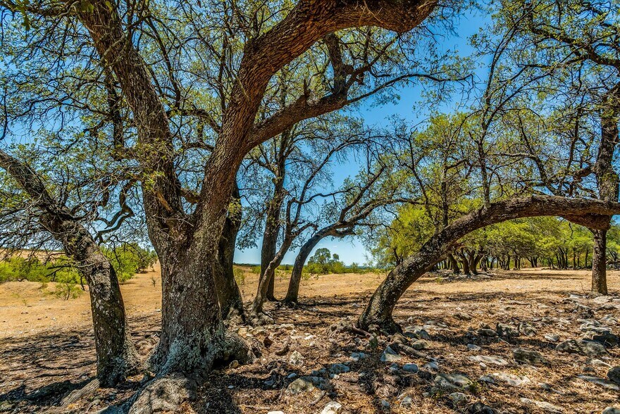 More Photos Of 7700 Old Granbury Rd, Cresson Land For Sale