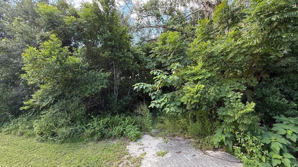 More Photos Of 1849 Princeton Street, Seville Land For Sale