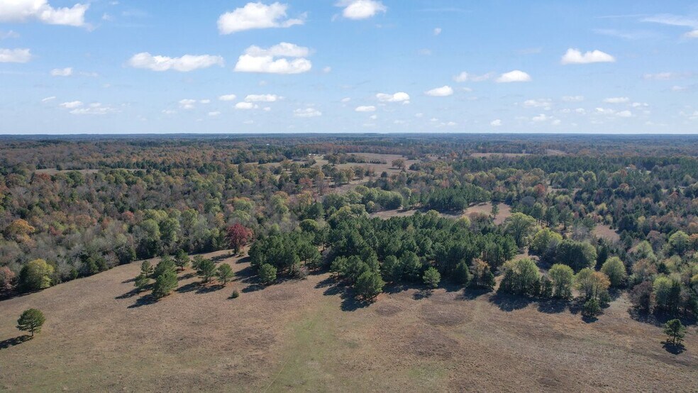 More Photos Of 190202 N 4130 Rd, Antlers Land For Sale