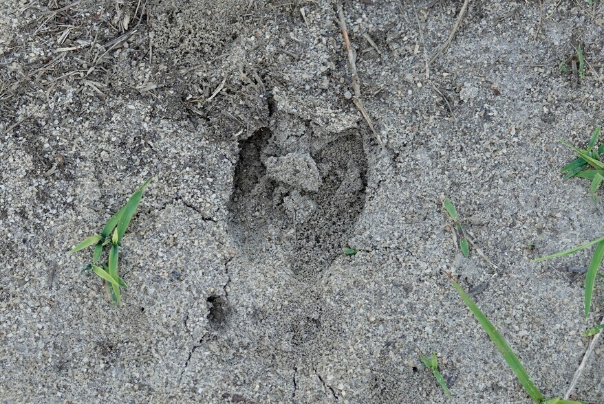 More Photos Of Merritt Rd @ W Reeves Street, Malvern Land For Sale