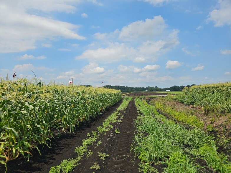 More Photos Of 73 Little York Rd, Warwick Garden Center For Sale