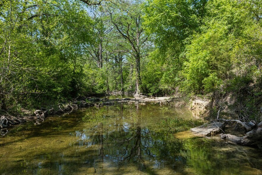 More Photos Of 18059A Ranch to Market Road 1826, Driftwood Winery Vineyard For Sale