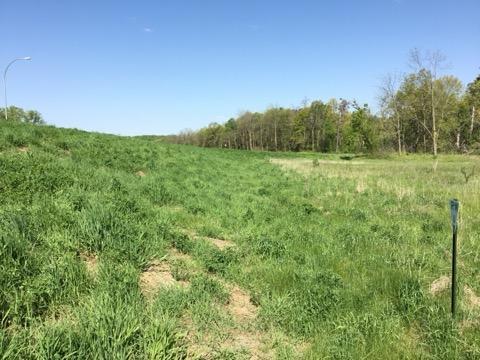 More Photos Of Xxx County Road 24 & 63rd Ave, Cannon Falls Land For Sale