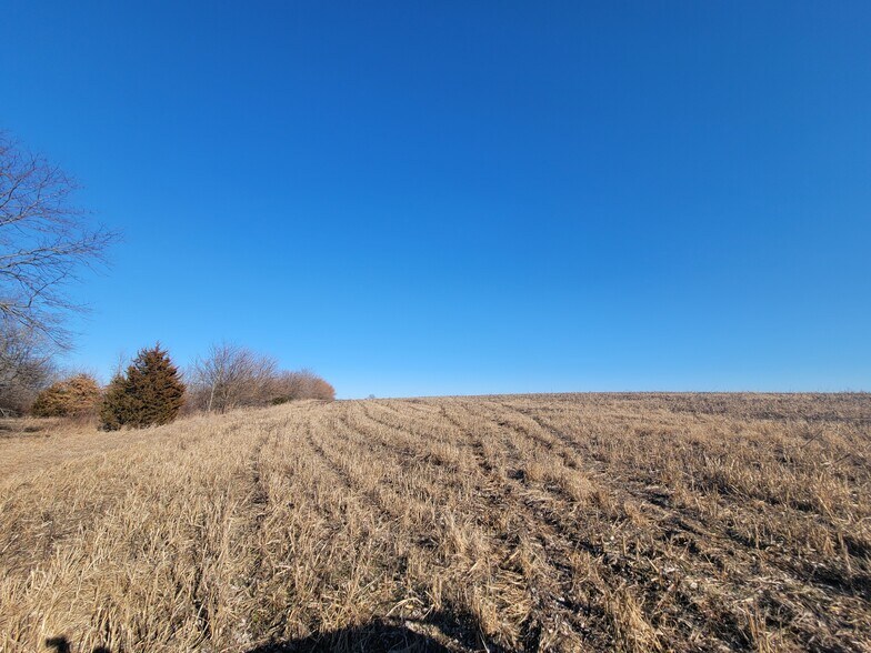 More Photos Of 171 Windy Hill Rd. (20+/- Acres), Elsberry Land For Sale