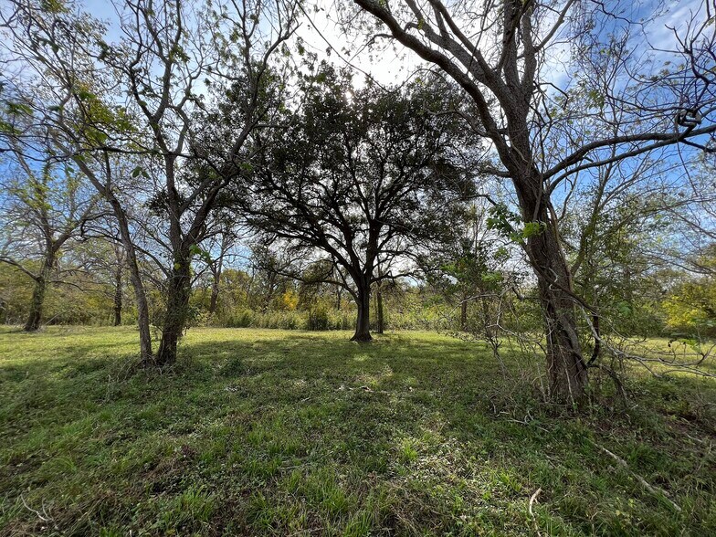 More Photos Of 0 Hwy 35, Van Vleck Land For Sale
