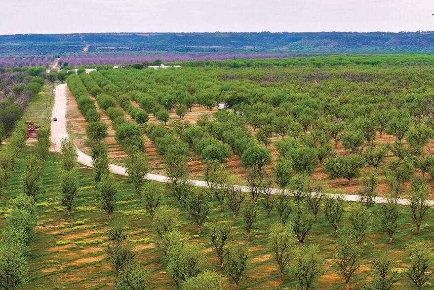 More Photos Of 450 County Road 417, Goldthwaite Land For Sale