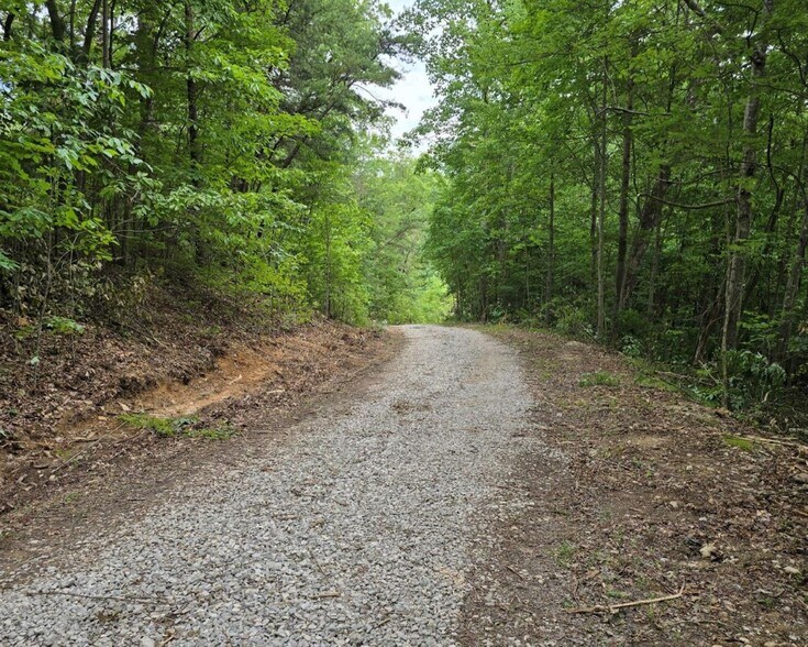 More Photos Of 1037 High Rock Rd, Stanton Land For Sale
