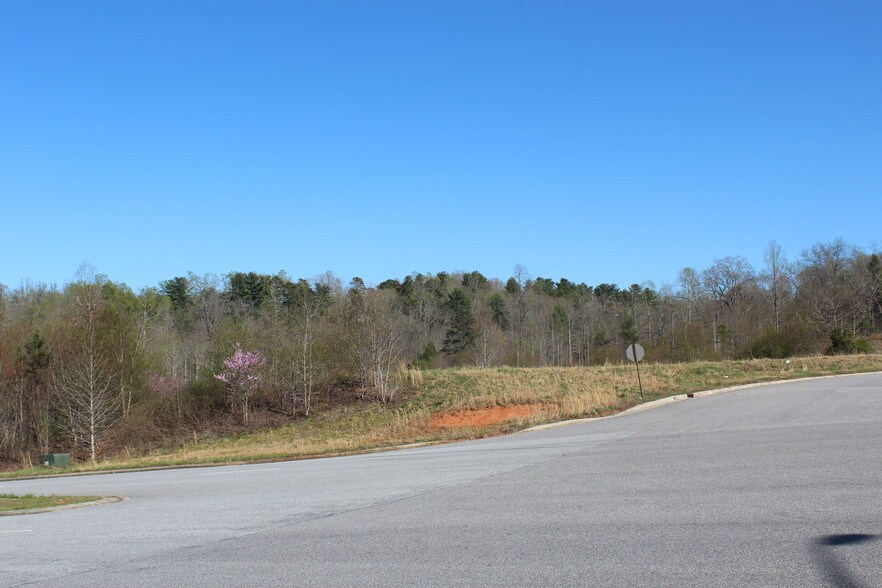More Photos Of Hickory Blvd & McClean Dr, Lenoir Land For Sale