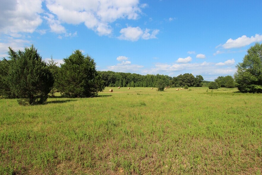 More Photos Of 278 Highway 64 E, Conway Land For Sale