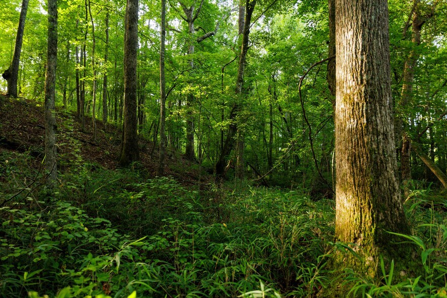 More Photos Of 2199 Roosterville Rd, Roopville Horse Stables For Sale