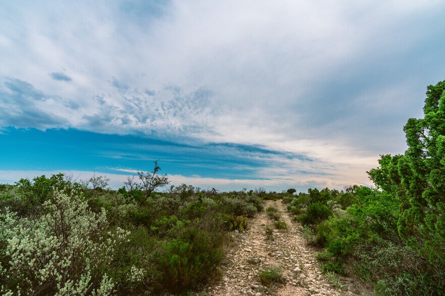 More Photos Of County Road 1865, Langtry Land For Sale