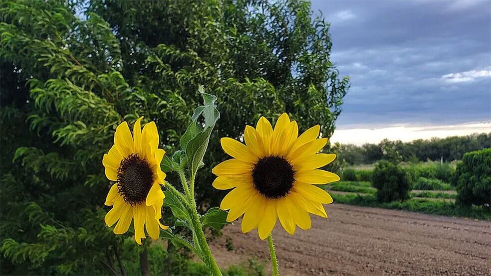 More Photos Of 13915 US 70, Fort Thomas Land For Sale