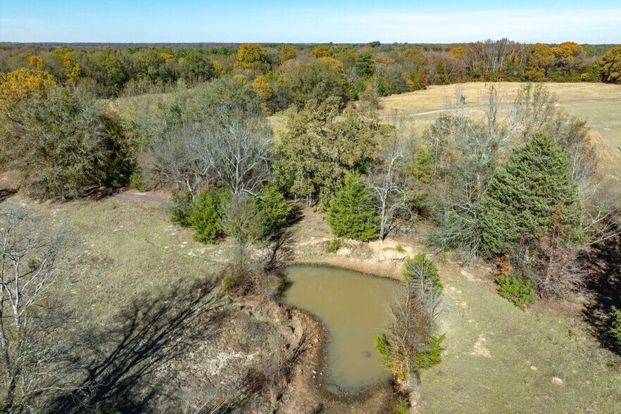 More Photos Of 00 FM 1643, Quitman Land For Sale