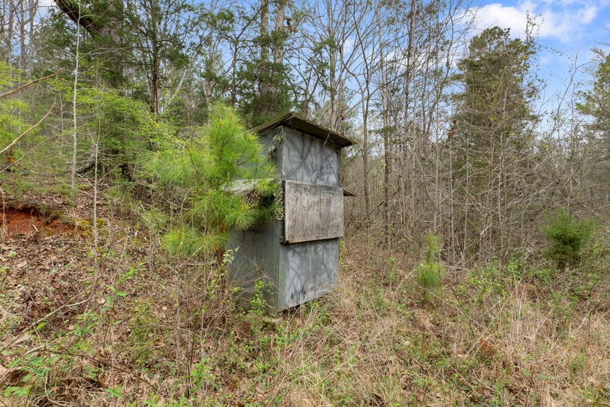 More Photos Of 2482 Old Douglass Rd, Winnsboro Land For Sale