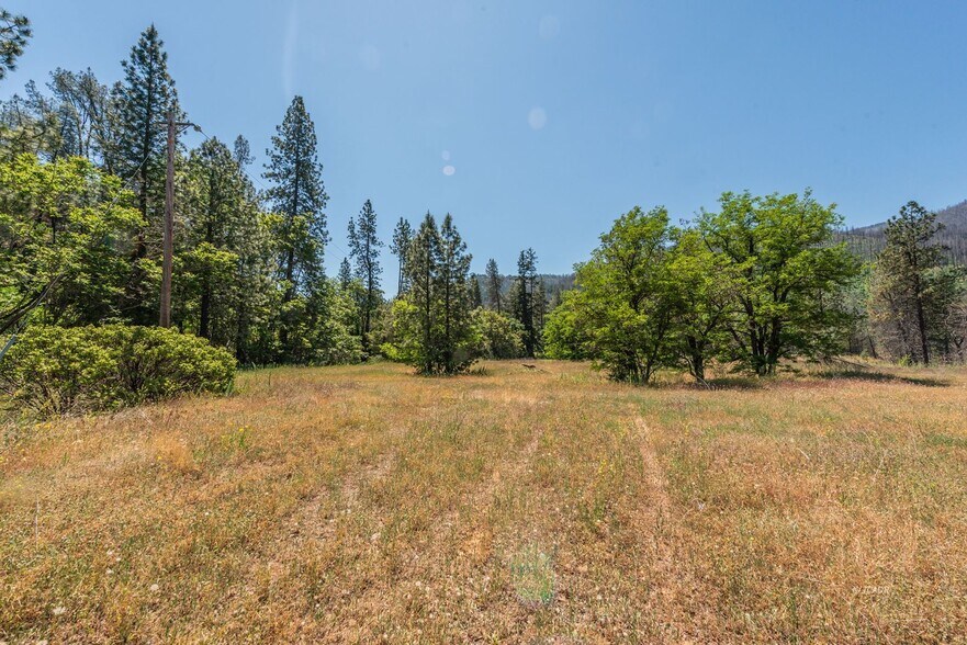More Photos Of 200 Dutch Creek Rd, Junction City Land For Sale
