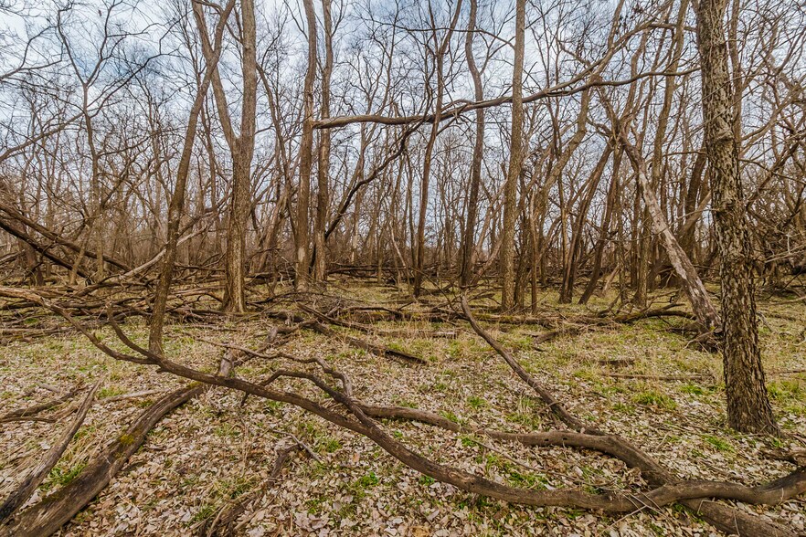More Photos Of 79+/- Acres on 272nd Rd. Rd @ 41st Rd, Arkansas City Land For Sale