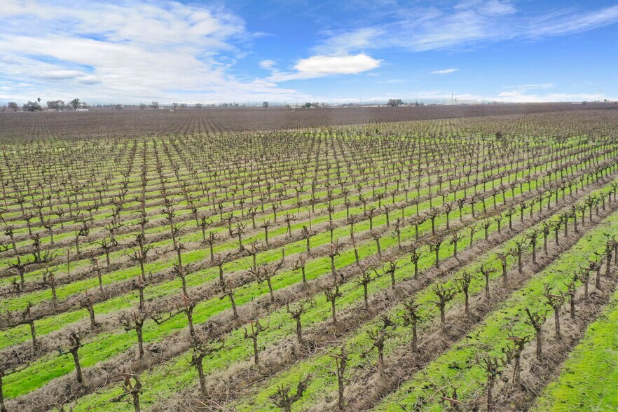 More Photos Of 20325 N Ray Rd, Lodi Land For Sale