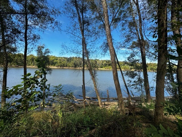More Photos Of TBD TBD Eureka Landing Road, Uriah Land For Lease